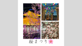 シンガポールでお花見】ガーデンズバイザベイの桜まつり